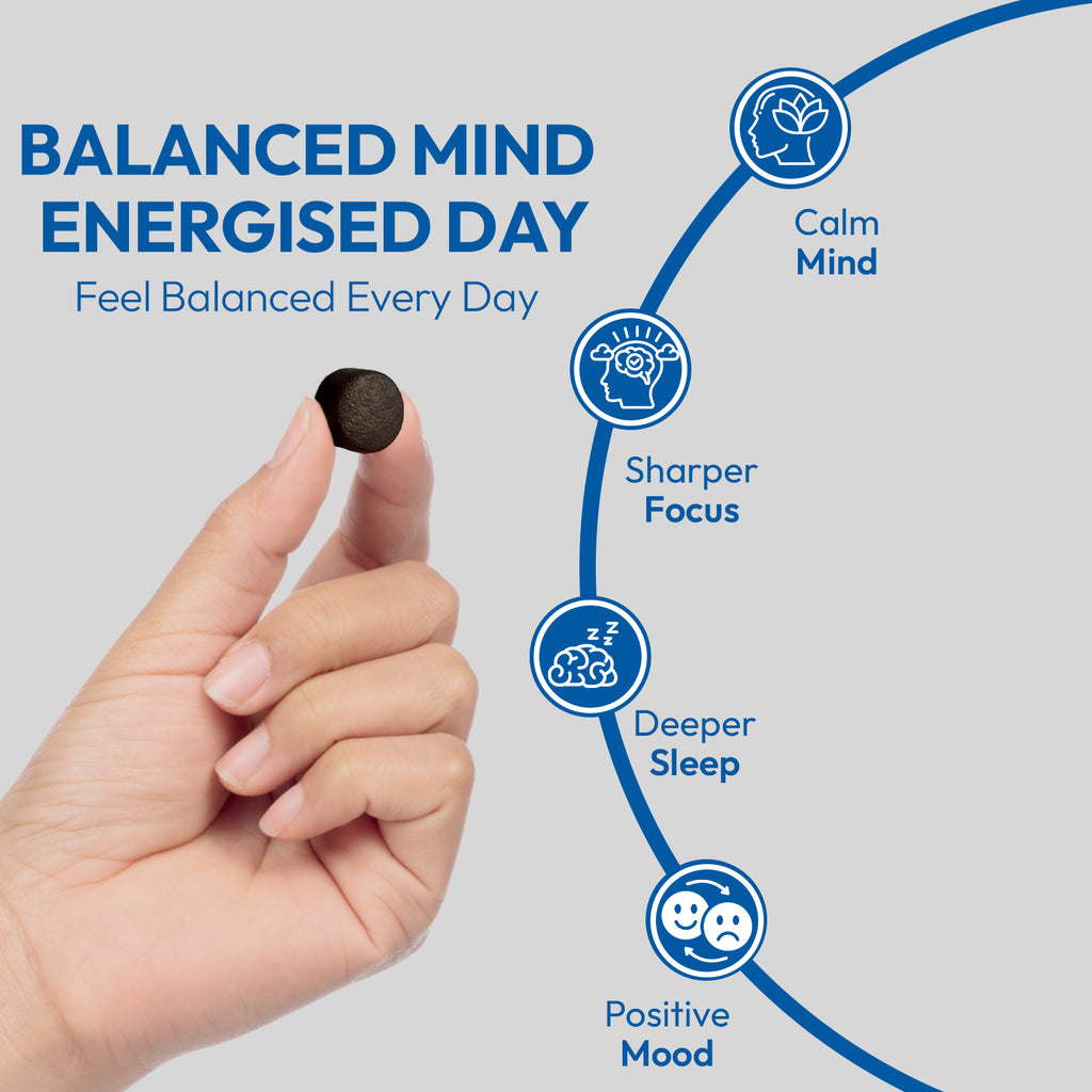 ClearMind+ Focus & Energy Mushroom Gummies (1953mg)