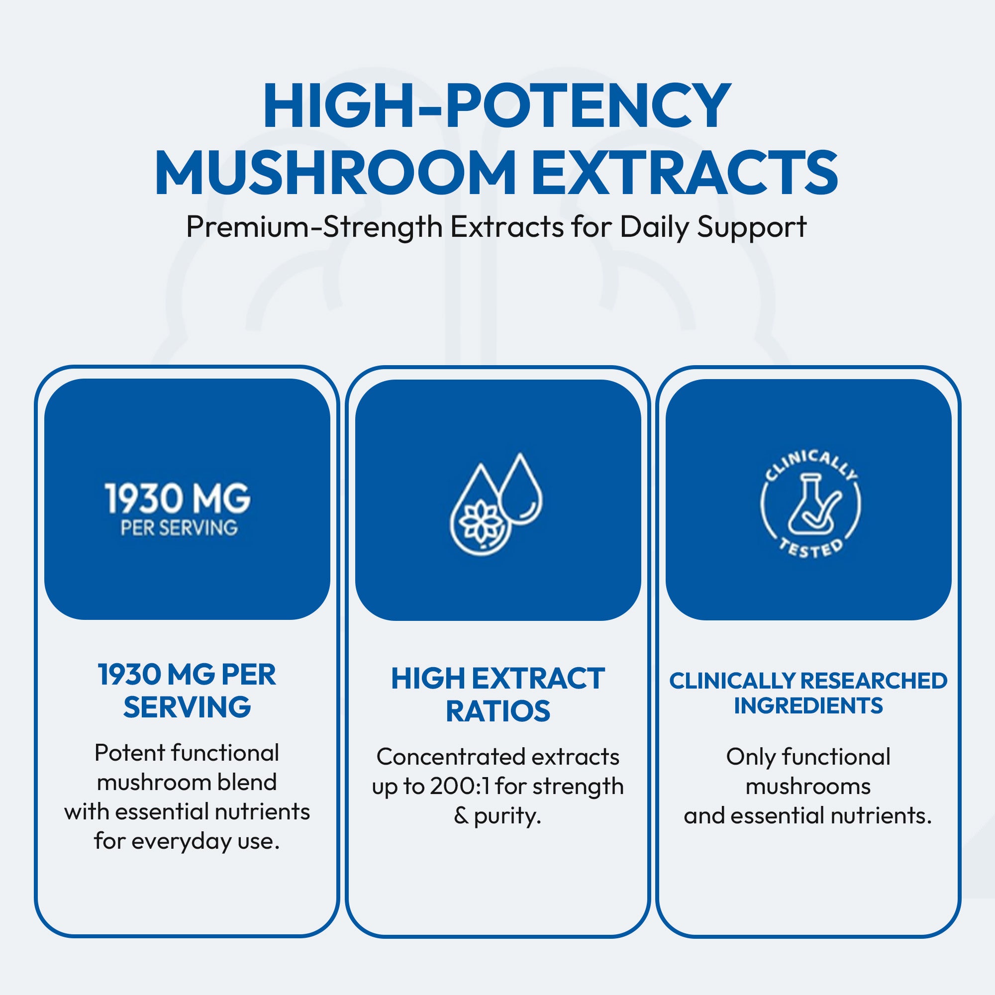 ClearMind+ Focus & Energy Mushroom Gummies (1953mg)