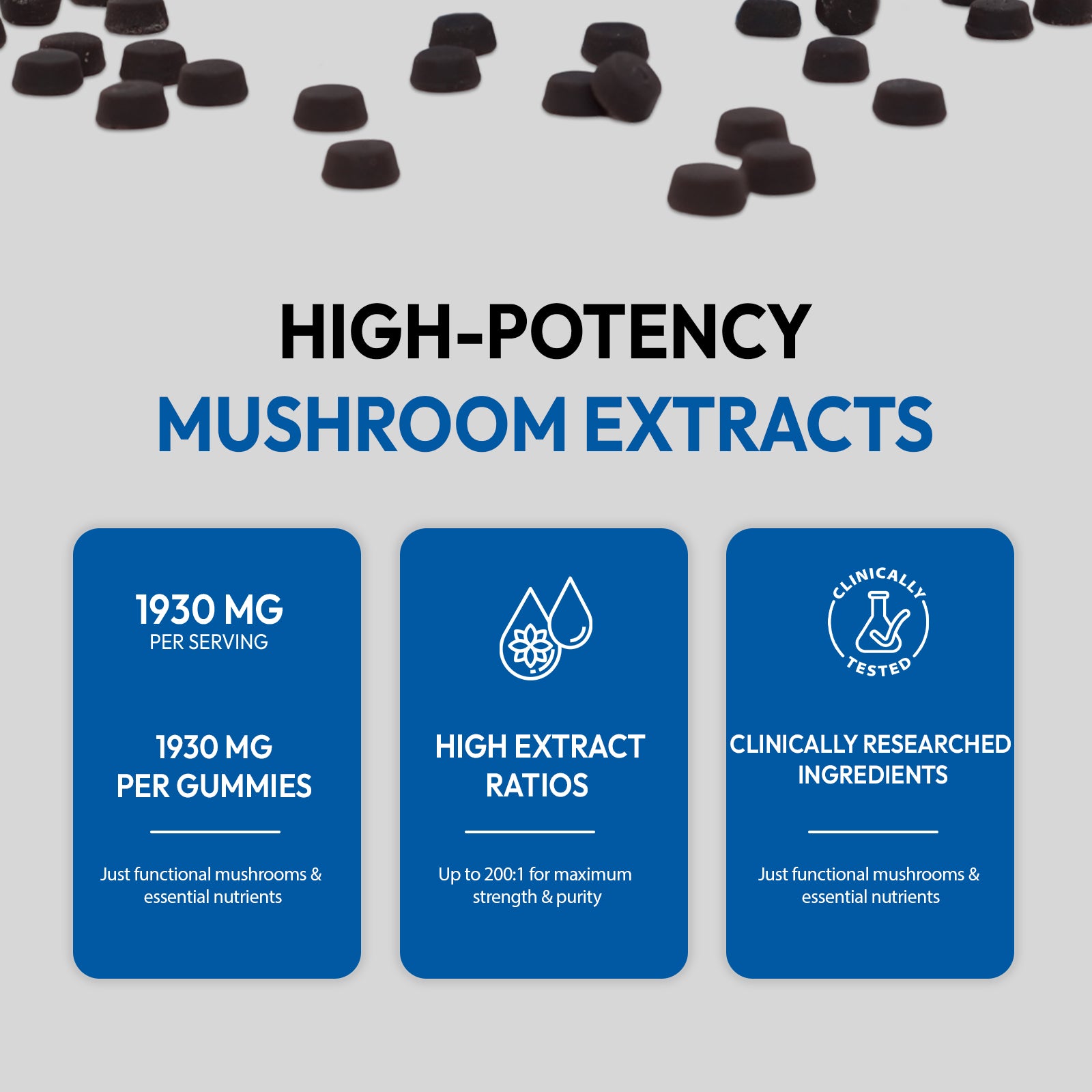 ClearMind+ Focus & Energy Mushroom Gummies (1953mg)
