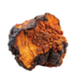 Chaga icon
