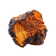 Rhodiola Rosea icon