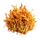 L-Theanine icon