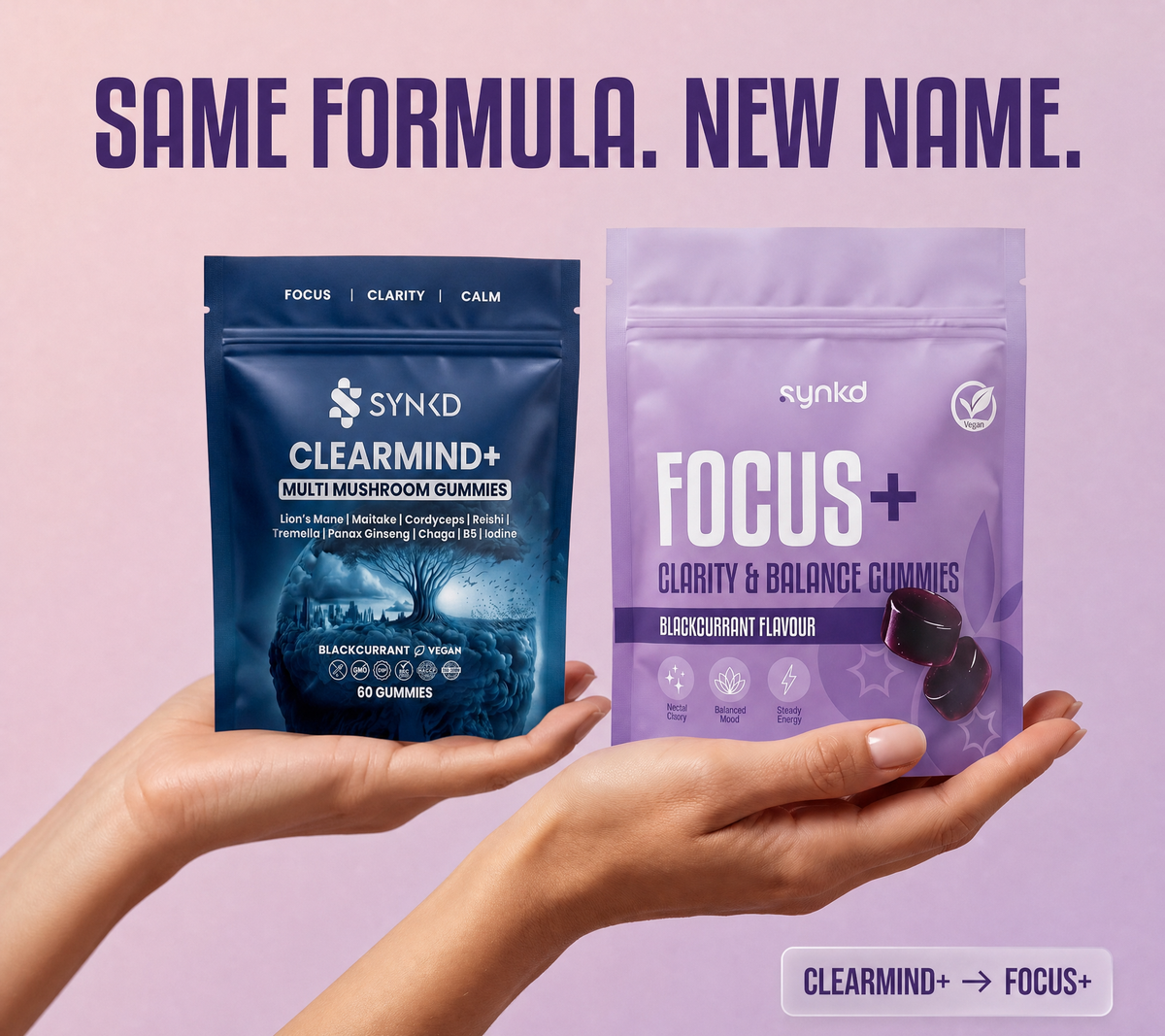 Focus & Energy Mushroom Gummies – 7 Superfood Extracts, 1953mg
