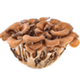Maitake icon