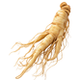 Panax Ginseng icon