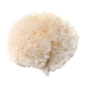 Green Tea Extract icon