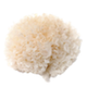 Tremella icon