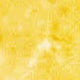 Vitamin C icon